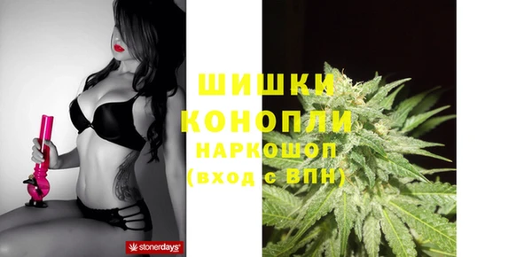 дурь Алзамай